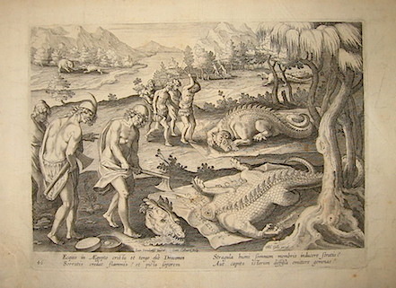 Collaert Jan (1561 ca.-1628) Ecquis in Aegypto crista et tergo esse Dracones Serratis... (Caccia ai dragoni) 1596 Anversa